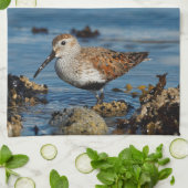 Een mooie Dunlin Goes Solo Theedoek (Gevouwen)
