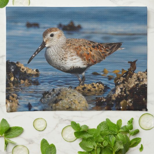 Een mooie Dunlin Goes Solo Theedoek (Gevouwen)