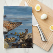 Een mooie Dunlin Goes Solo Theedoek (Quarter Fold)