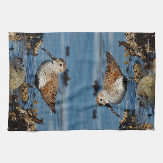 Een mooie Dunlin Goes Solo Theedoek (Horizontaal)