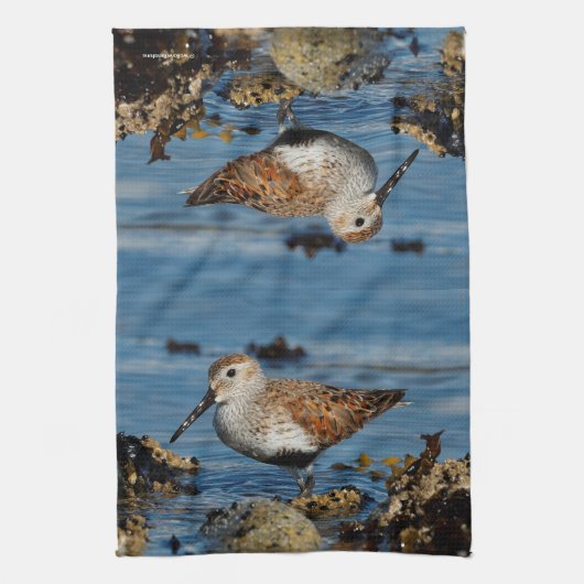 Een mooie Dunlin Goes Solo Theedoek (Verticaal)