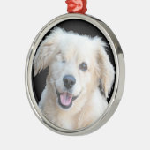 Een mooie eenogige hond. metalen ornament (Links)