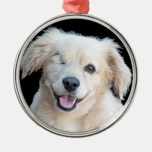 Een mooie eenogige hond. metalen ornament (Voorkant)