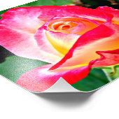 Een mooie foto van Rozen Foto Afdruk (Hoek)