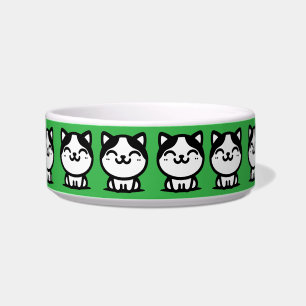 Een Mooie Groene Kattenbak Voerbakje