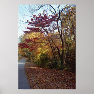 Een mooie haven poster