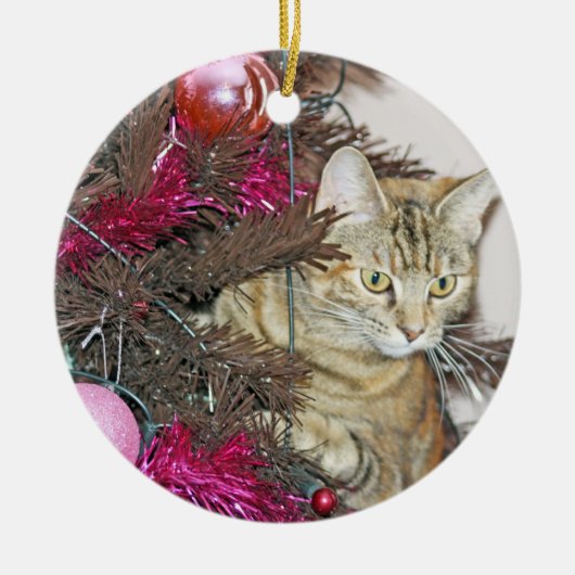een mooie kat in een kerstboomversiering keramisch ornament (Voorkant)