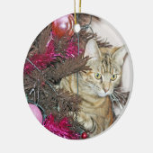 een mooie kat in een kerstboomversiering keramisch ornament (Links)