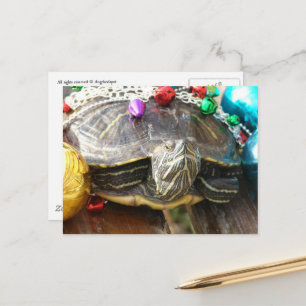 Een mooie kerstschildpad briefkaart