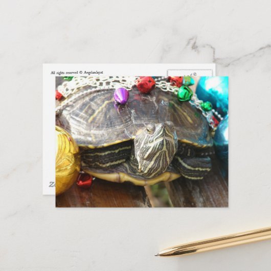 Een mooie kerstschildpad briefkaart (Voorkant / Achterkant in situ)