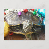 Een mooie kerstschildpad briefkaart (Voorkant)