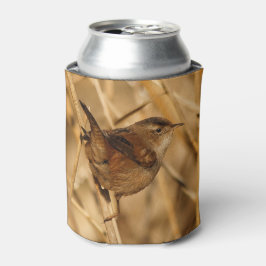 Een mooie Marsh Wren in-Waar anders? - De Marsh Blikjeskoeler