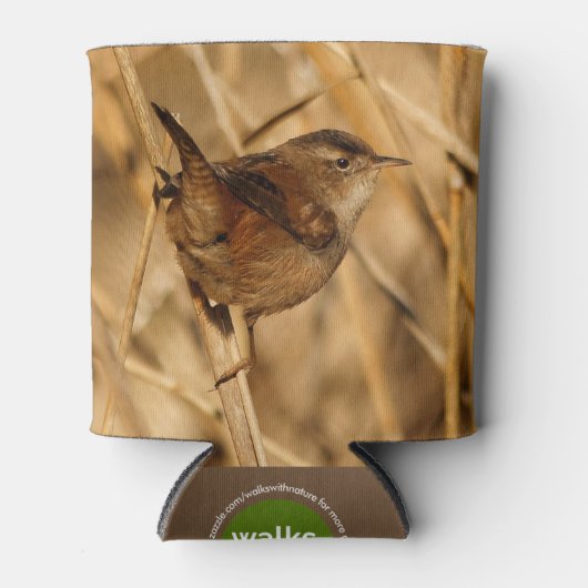Een mooie Marsh Wren in-Waar anders? - De Marsh Blikjeskoeler (Voorkant)