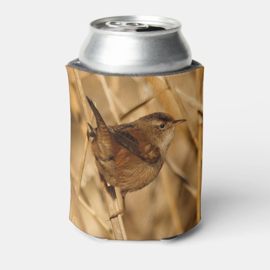 Een mooie Marsh Wren in-Waar anders? - De Marsh Blikjeskoeler (Blikje Achterkant)