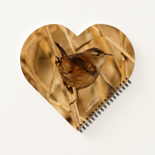 Een mooie Marsh Wren in-Waar anders? - De Marsh Notitieboek (Achterkant)