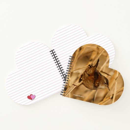 Een mooie Marsh Wren in-Waar anders? - De Marsh Notitieboek (Binnen)