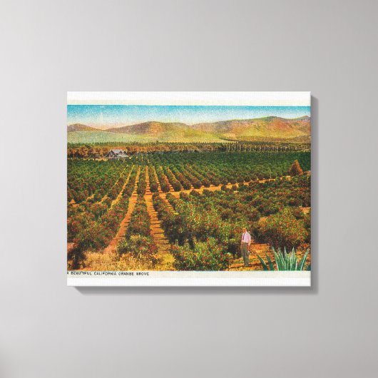 Een mooie Oranje GroveState Canvas Afdruk (Voorkant)