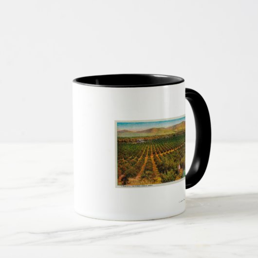 Een mooie Oranje GroveState Mok (Voorkant rechts)