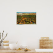 Een mooie Oranje GroveState Poster (Keuken)