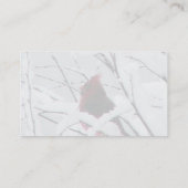 Een mooie rode kardinaal in de Struiken bedekt met Visitekaartje (Achterkant)