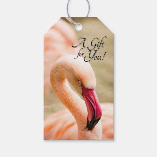 Een mooie roze flamingo cadeaulabel (Voorkant)