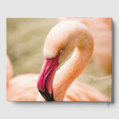 Een mooie roze flamingo gastenboek (Achterkant)