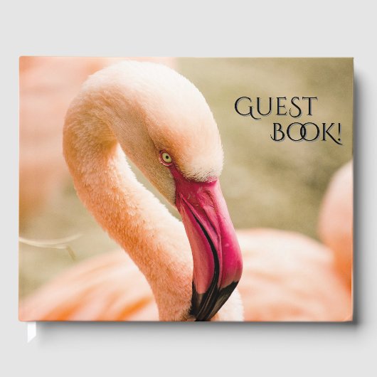 Een mooie roze flamingo gastenboek (Voorkant)