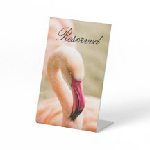 Een mooie roze flamingo gereserveerd