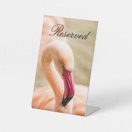 Een mooie roze flamingo gereserveerd reclamebord met voetstuk