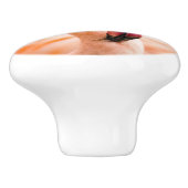 Een mooie roze flamingo keramische knop (Zijkant)