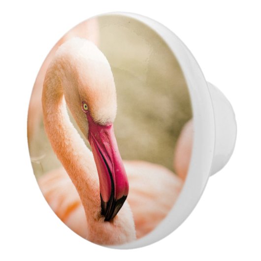 Een mooie roze flamingo keramische knop (Rechts)