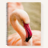 Een mooie roze flamingo notitieboek (Voorkant)