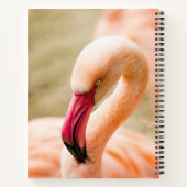 Een mooie roze flamingo notitieboek (Achterkant)