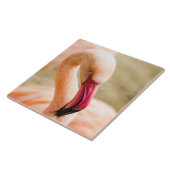 Een mooie roze flamingo tegeltje (Zijkant)