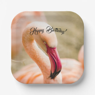 Een mooie roze flamingo verjaardag papieren bordje