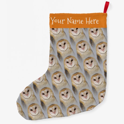 Een mooie Serene Barn Owl Grote Kerstsok (Achterkant)