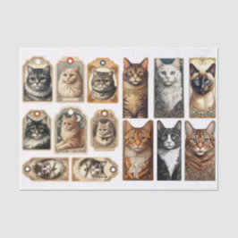 Een Mooie Set van Vintage Geïnspireerde Kattenlabe Tissuepapier