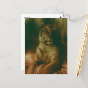 Een mooie tijger in een jurk briefkaart