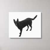 Een mooie zwarte Duitse herder Canvas Afdruk (Voorkant)