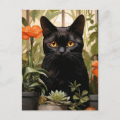 Een mooie zwarte kat vetplanten en bloemen briefkaart (Voorkant)