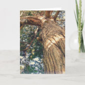 Een mooiste boom kaart (Voorkant)