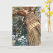 Een mooiste boom kaart (Gele Bloem)