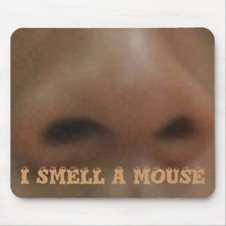EEN MUIS! MUISMAT