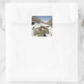 Een Mujahadeen Guard loopt met een Amerikaans mili Vierkante Sticker (Tas)