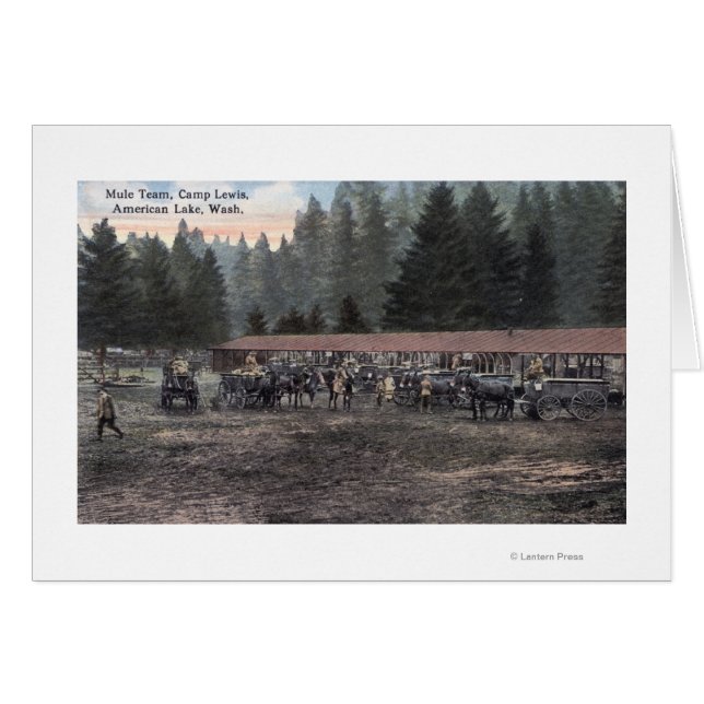 Een Mule Team in Camp Lewis (Voorkant Horizontaal)