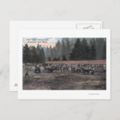 Een Mule Team in Camp Lewis Briefkaart (Voorkant / Achterkant)