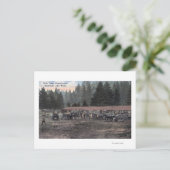 Een Mule Team in Camp Lewis Briefkaart (Staand voorkant)