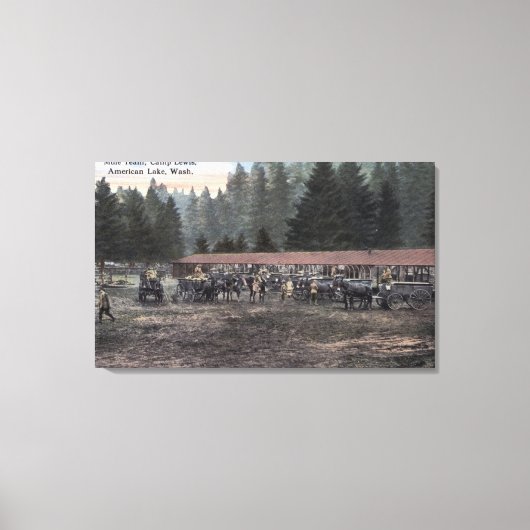 Een Mule Team in Camp Lewis Canvas Afdruk (Voorkant)