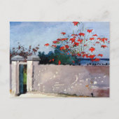 Een muur Nassau Winslow Homer Briefkaart (Voorkant)