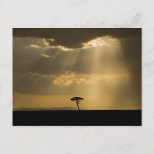 Een mystieke zonsondergang bij terugkeer in het ka briefkaart